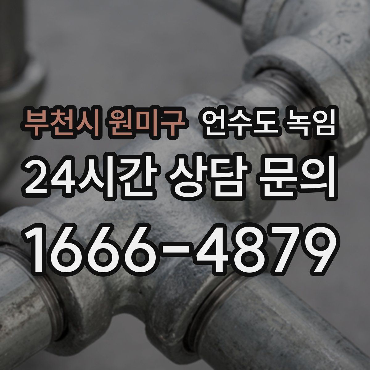 부천시 원미구 언수도 녹임