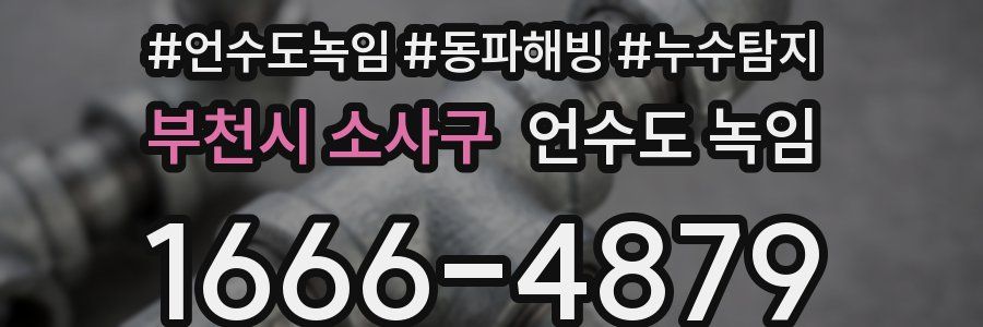 부천시 소사구 언수도 녹임