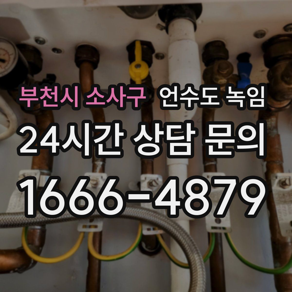 부천시 소사구 언수도 녹임