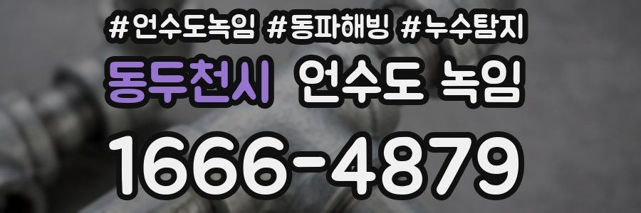 동두천시 언수도 녹임
