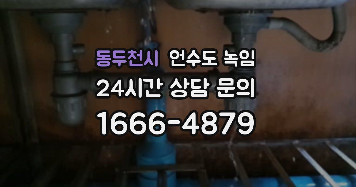 동두천시 언수도 녹임