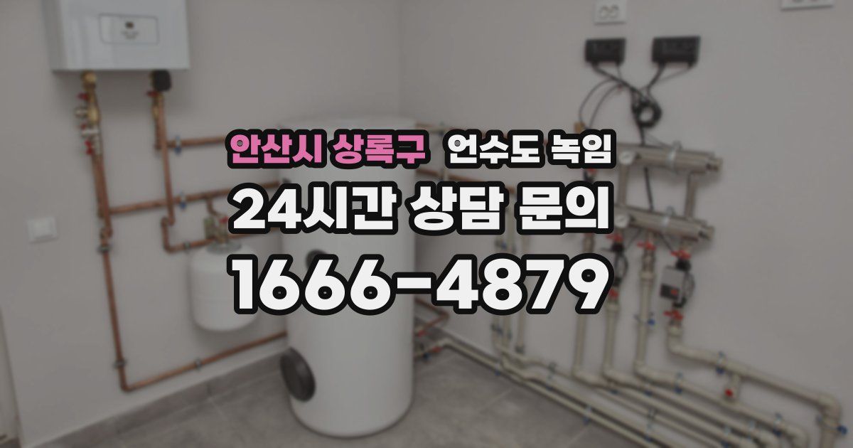 안산시 상록구 언수도 녹임