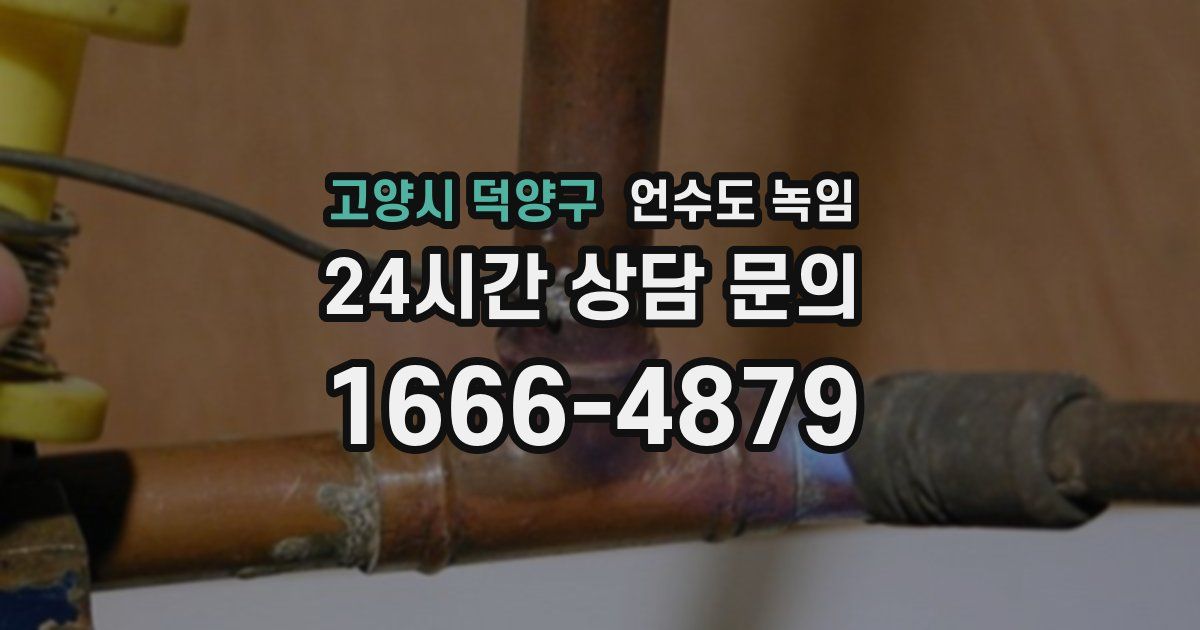 고양시 덕양구 언수도 녹임