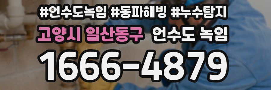 고양시 일산동구 언수도 녹임