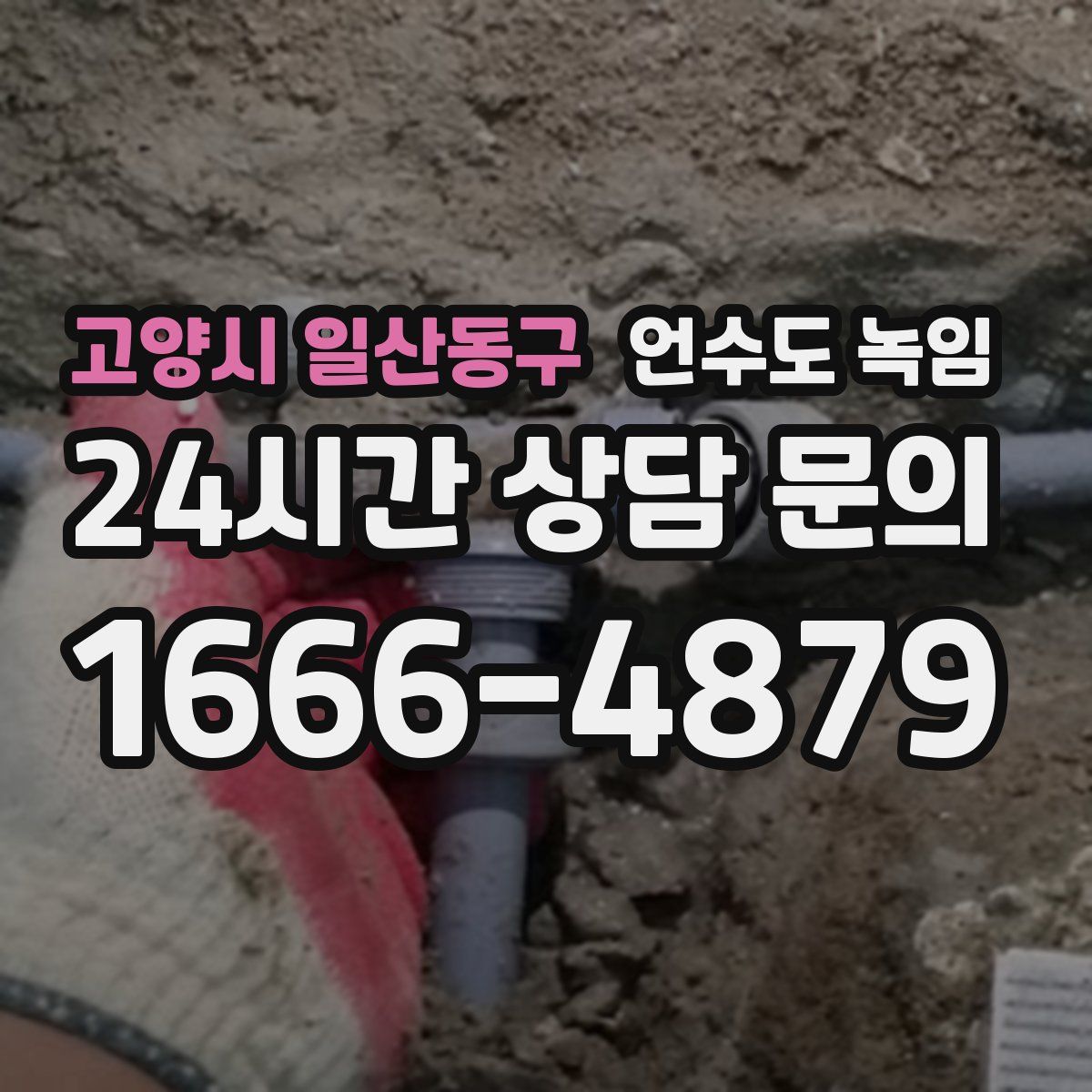 고양시 일산동구 언수도 녹임