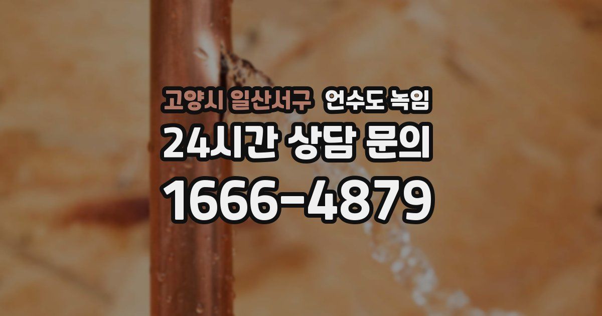 고양시 일산서구 언수도 녹임