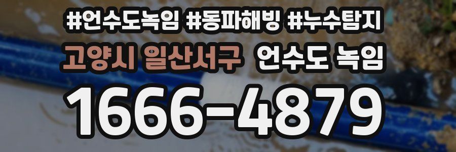 고양시 일산서구 언수도 녹임