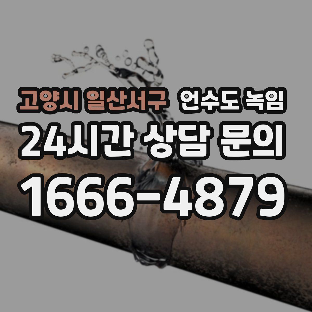 고양시 일산서구 언수도 녹임