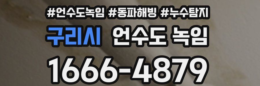구리시 언수도 녹임