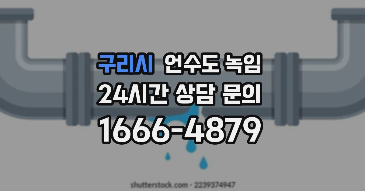 구리시 언수도 녹임