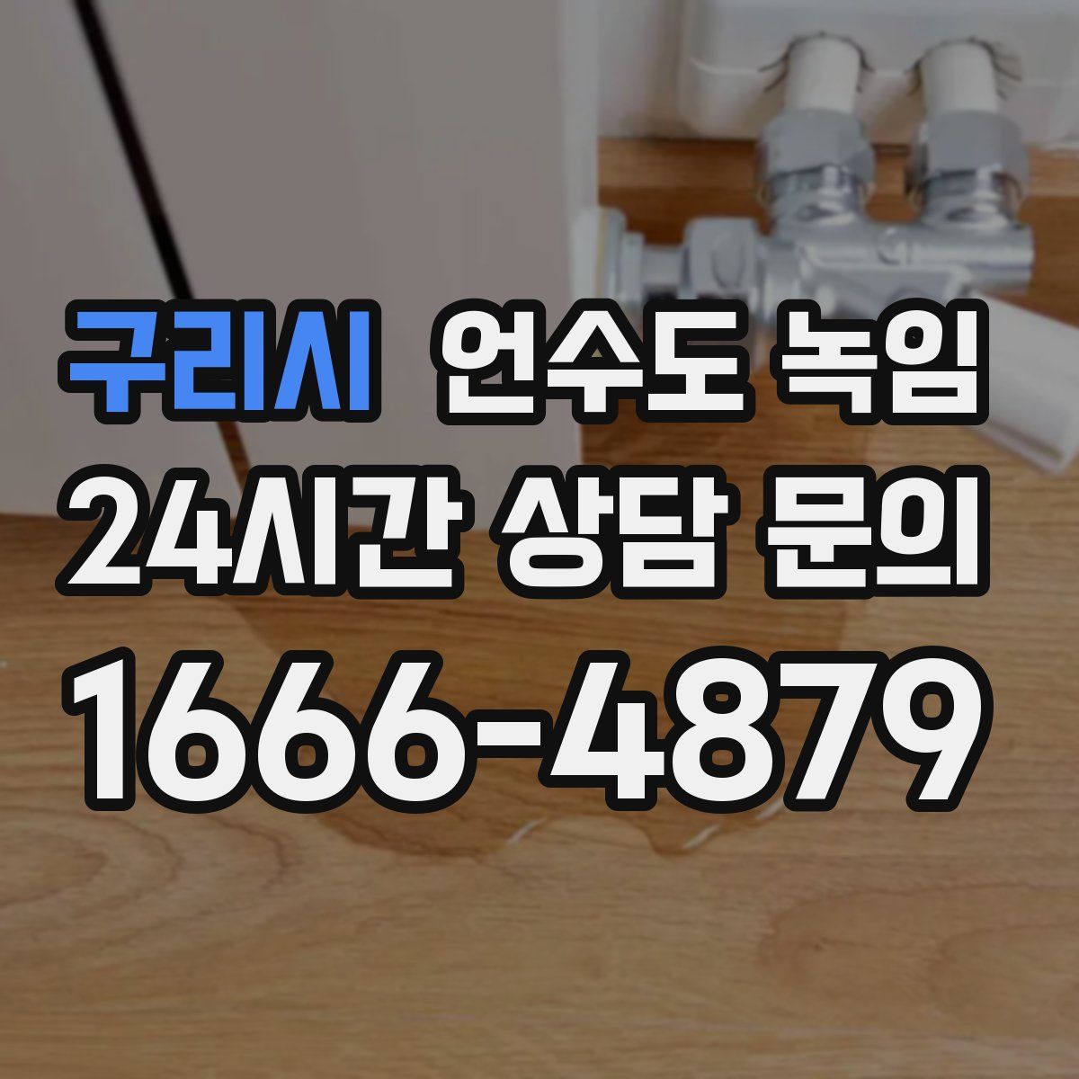 구리시 언수도 녹임