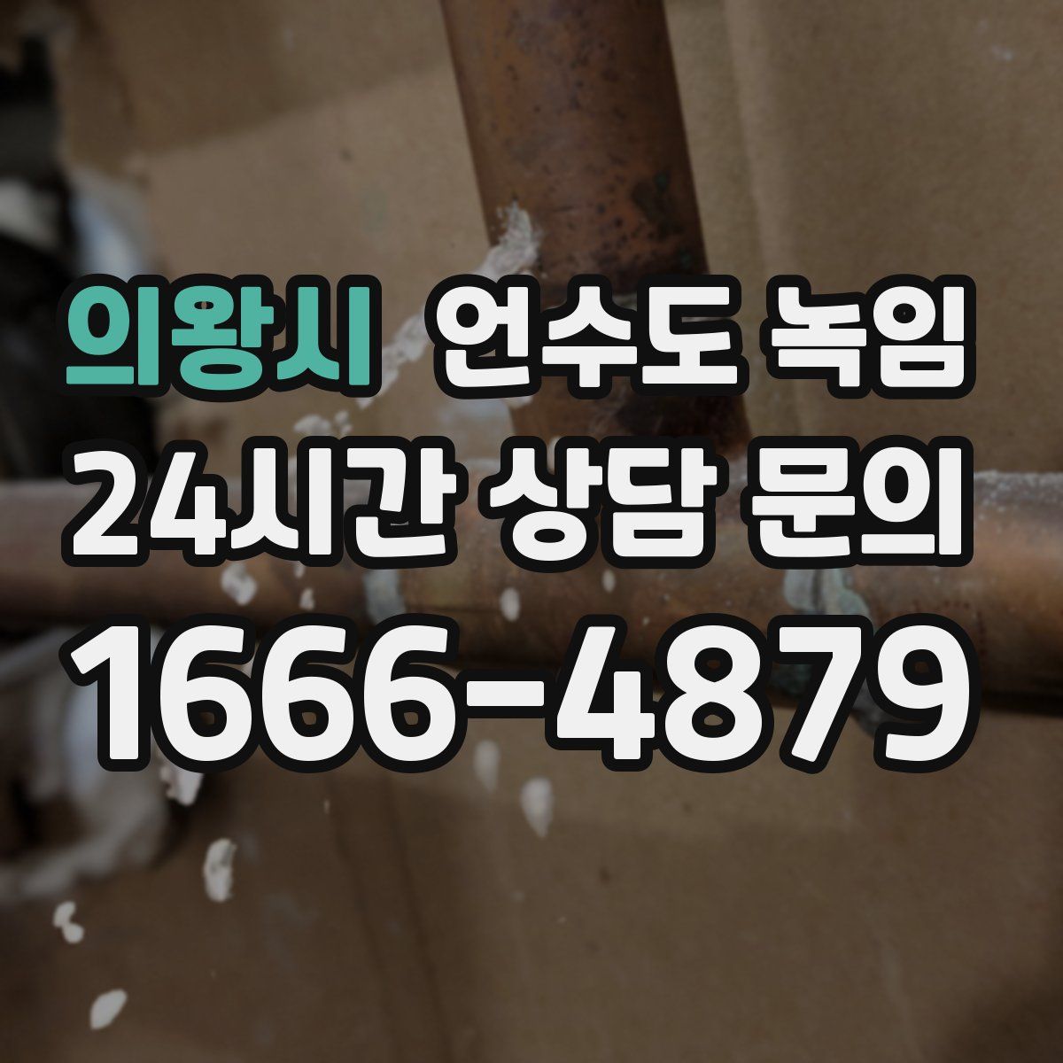 의왕시 언수도 녹임