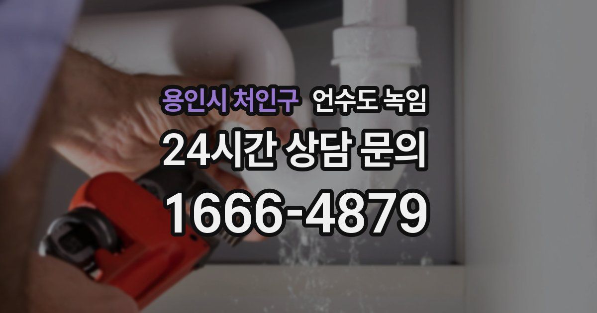 용인시 처인구 언수도 녹임