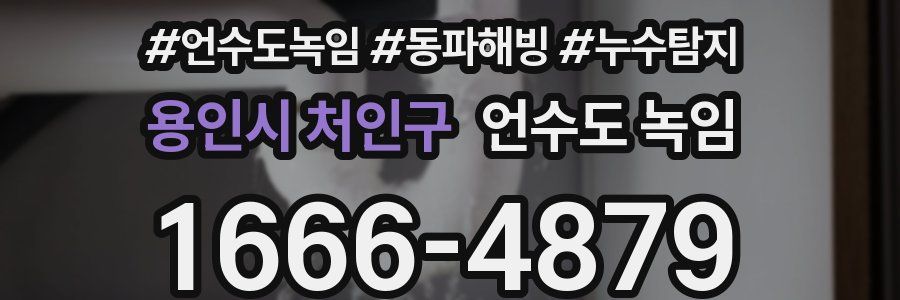 용인시 처인구 언수도 녹임