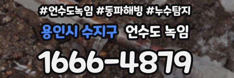 용인시 수지구 언수도 녹임