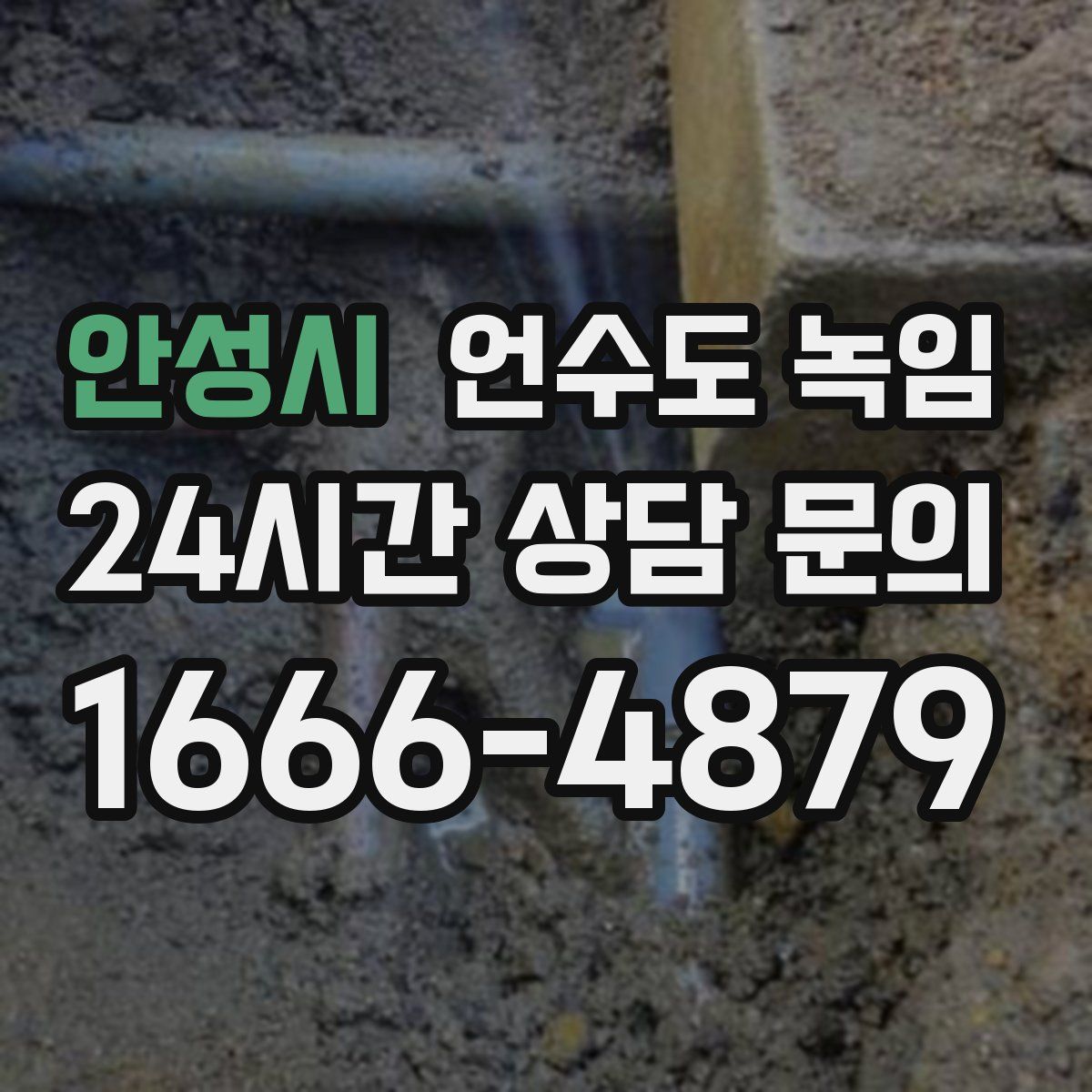 안성시 언수도 녹임