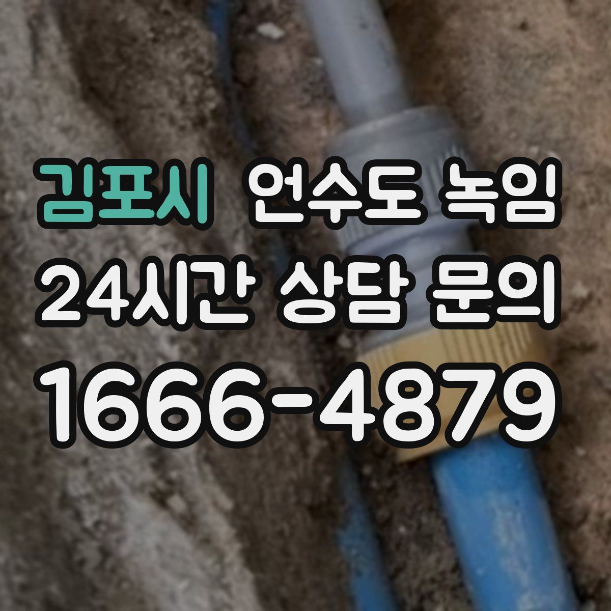 김포시 언수도 녹임