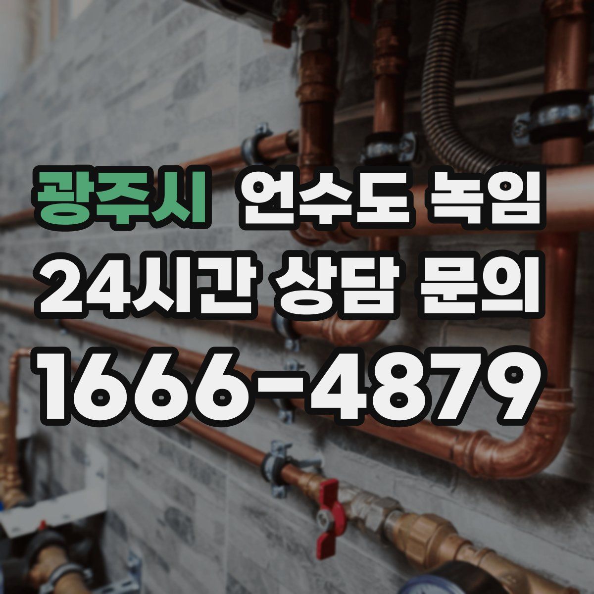 광주시 언수도 녹임