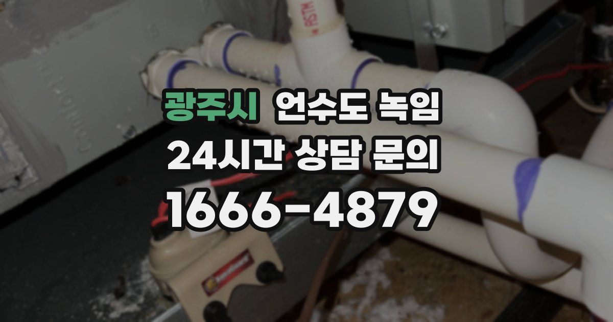광주시 언수도 녹임
