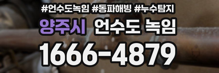 양주시 언수도 녹임