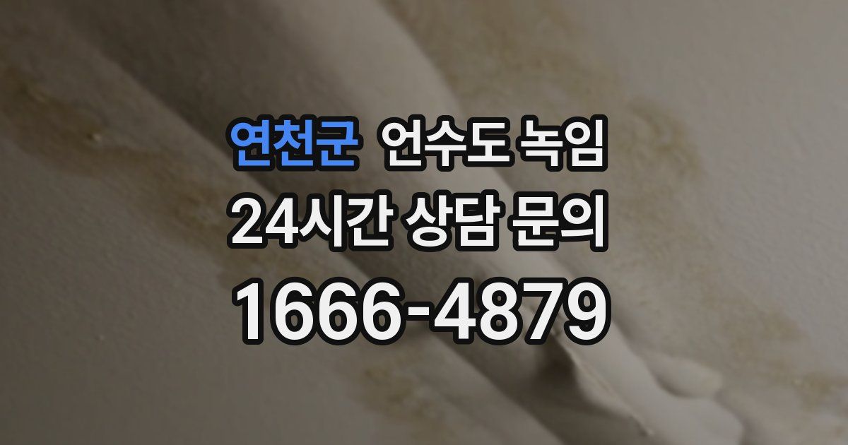 연천군 언수도 녹임