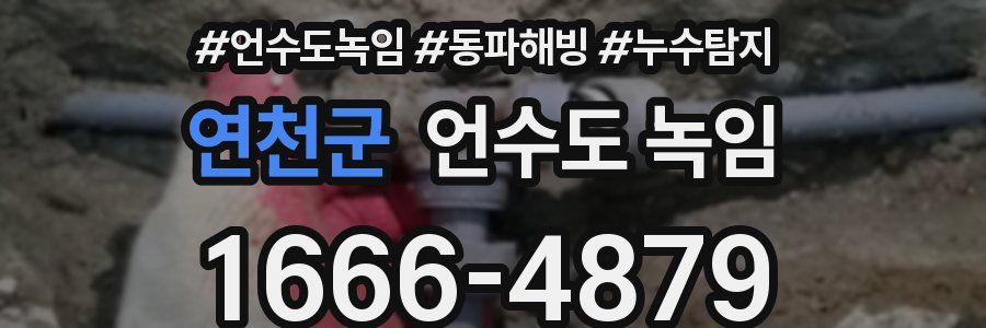 연천군 언수도 녹임