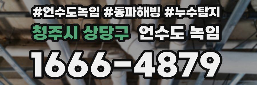 청주시 상당구 언수도 녹임