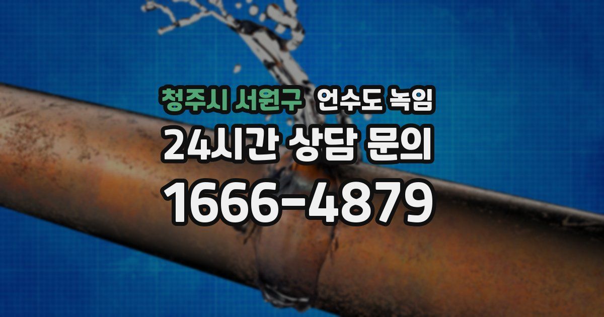 청주시 서원구 언수도 녹임