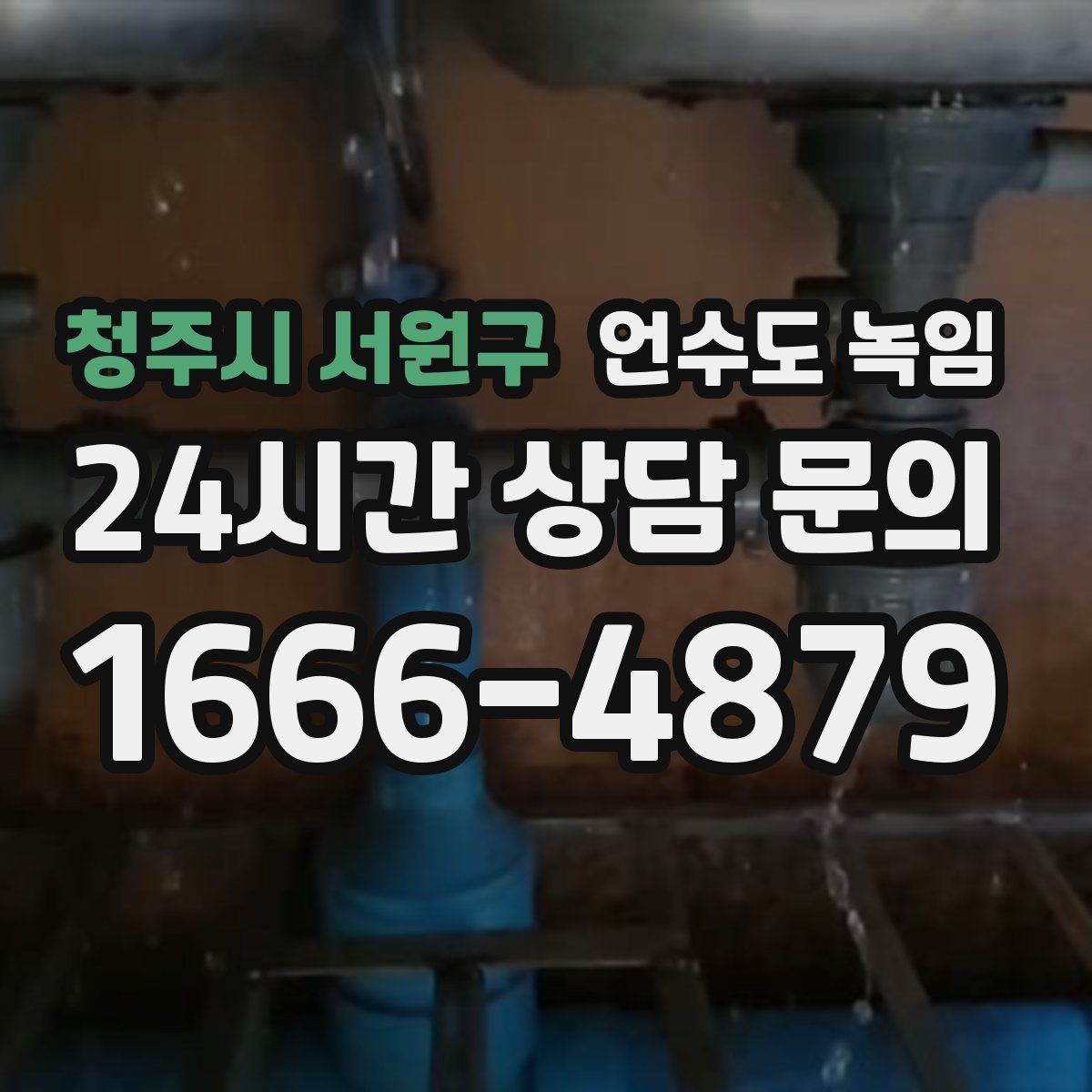 청주시 서원구 언수도 녹임