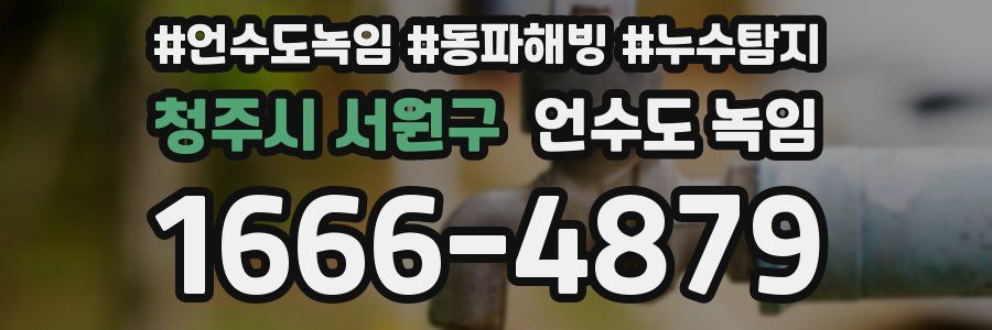 청주시 서원구 언수도 녹임