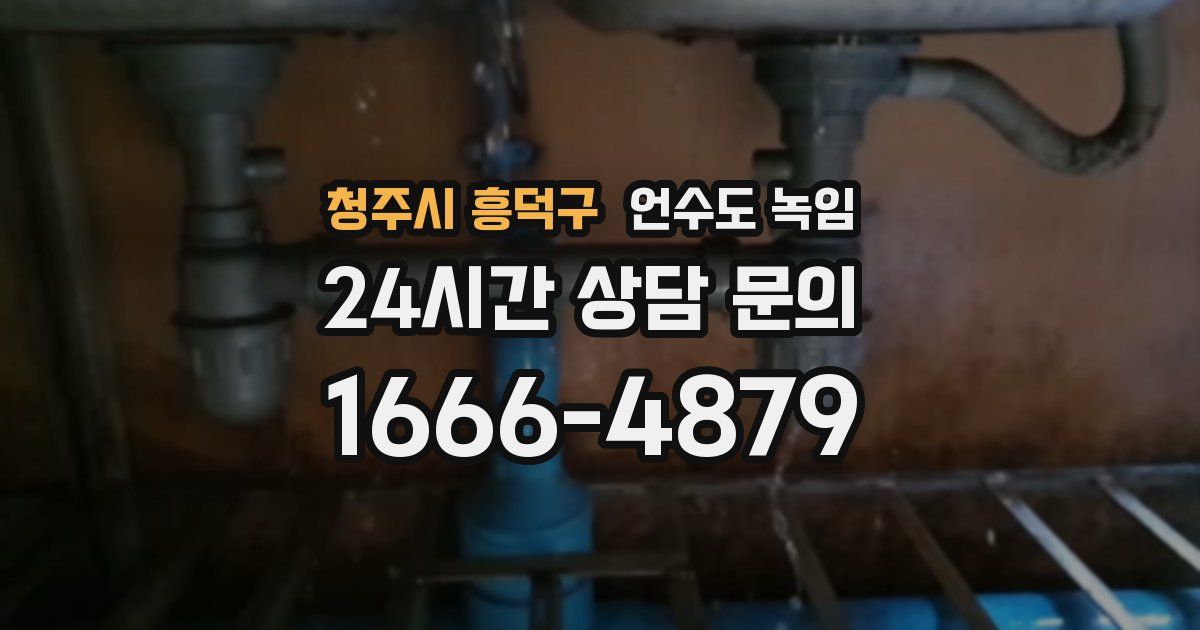 청주시 흥덕구 언수도 녹임