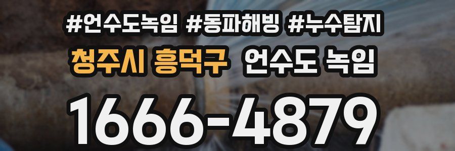 청주시 흥덕구 언수도 녹임