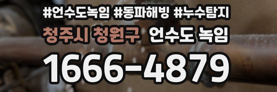 청주시 청원구 언수도 녹임