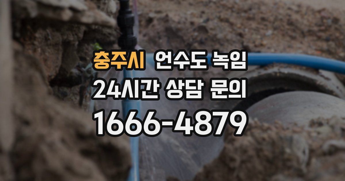 충주시 언수도 녹임