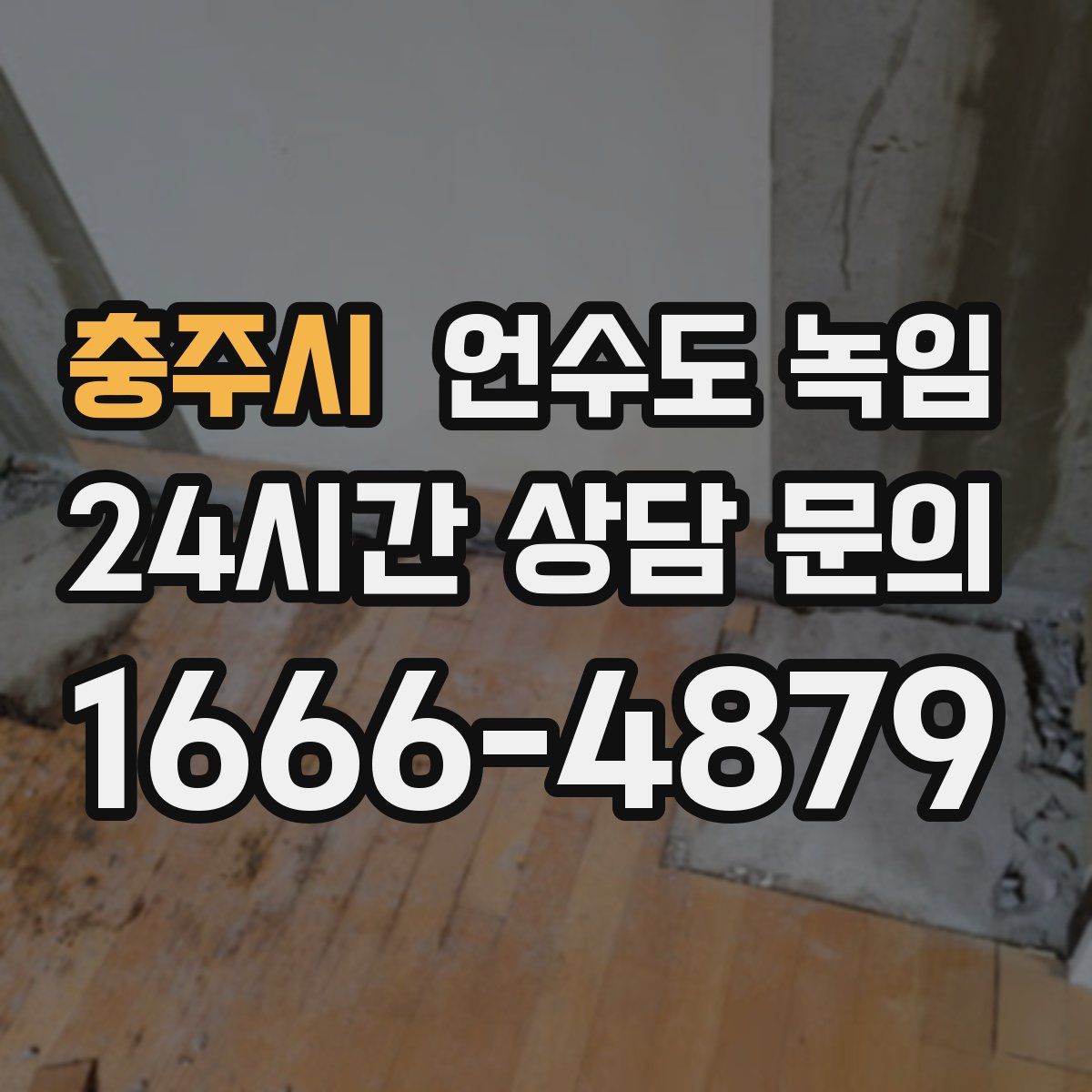 충주시 언수도 녹임