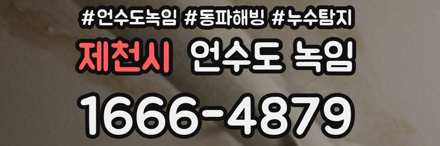 제천시 언수도 녹임