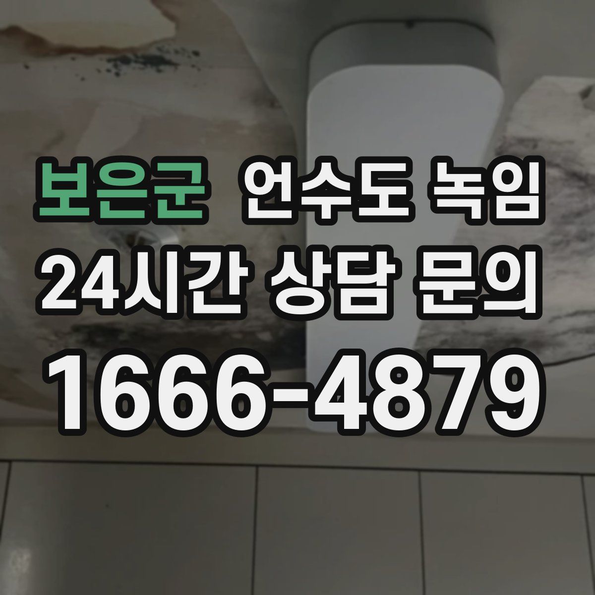 보은군 언수도 녹임