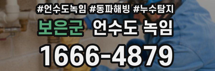 보은군 언수도 녹임