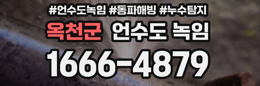 옥천군 언수도 녹임