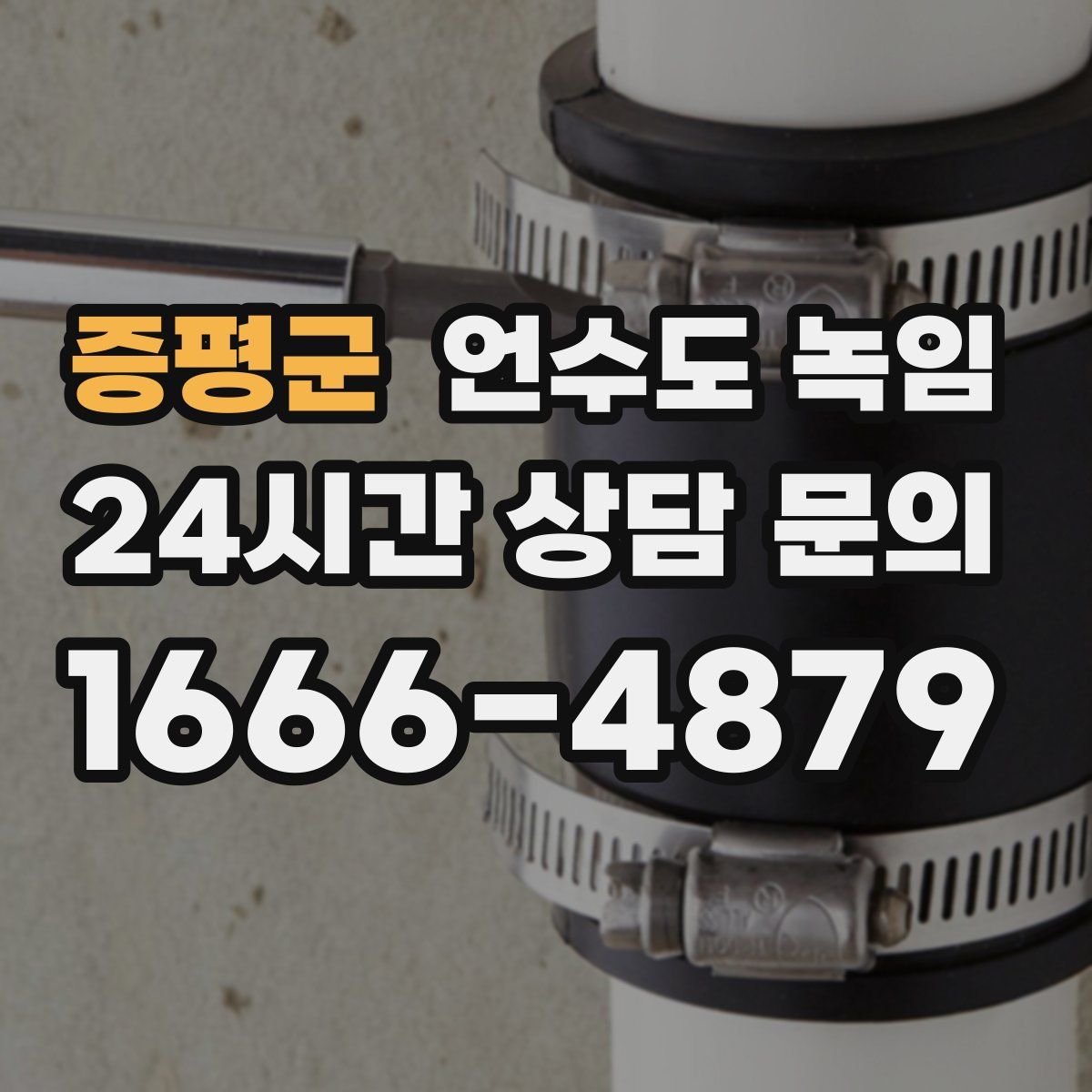 증평군 언수도 녹임