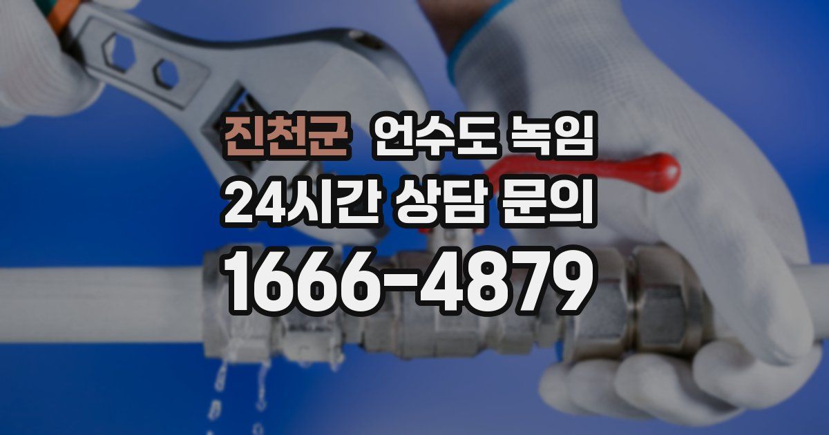 진천군 언수도 녹임