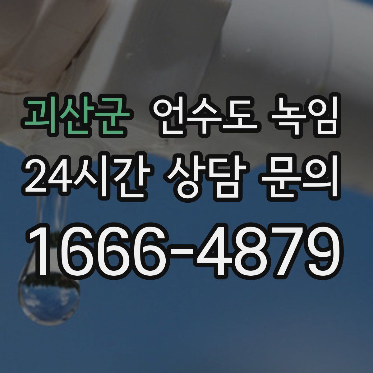 괴산군 언수도 녹임