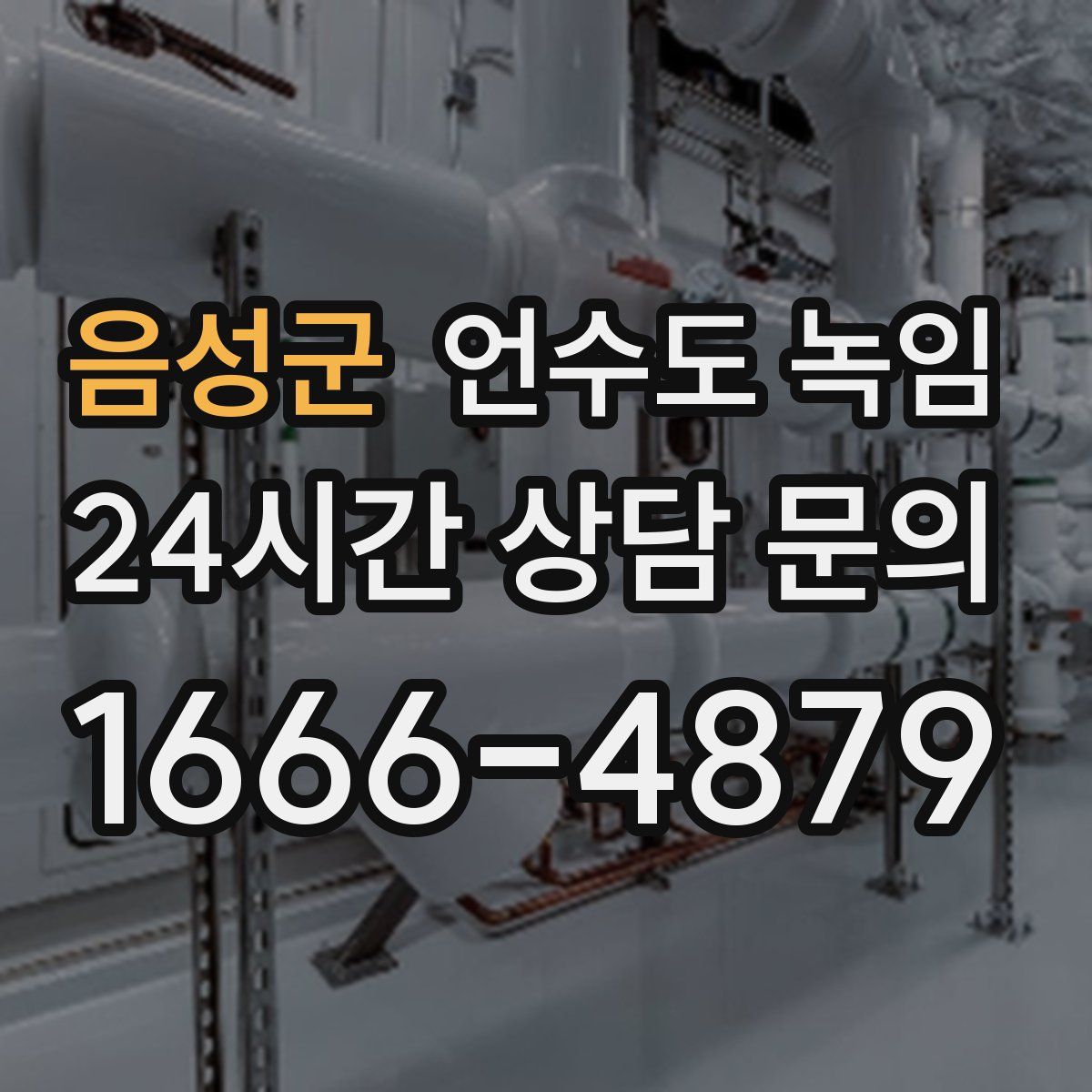 음성군 언수도 녹임