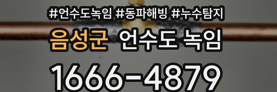 음성군 언수도 녹임