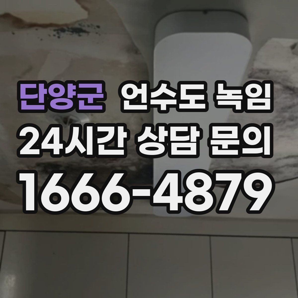 단양군 언수도 녹임 해빙 뒤 물이 탁하면 점검이 필요한 이유