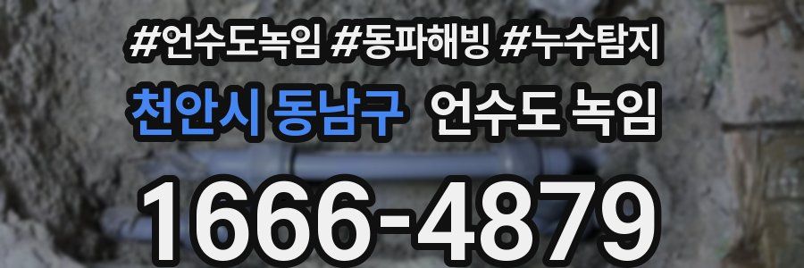 천안시 동남구 언수도 녹임