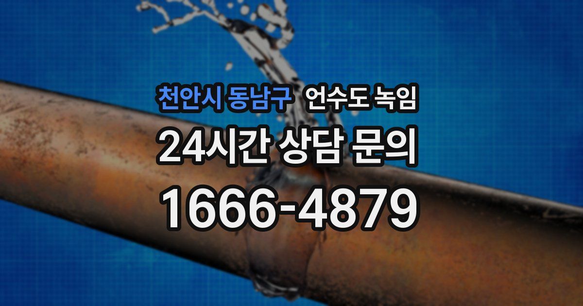 천안시 동남구 언수도 녹임