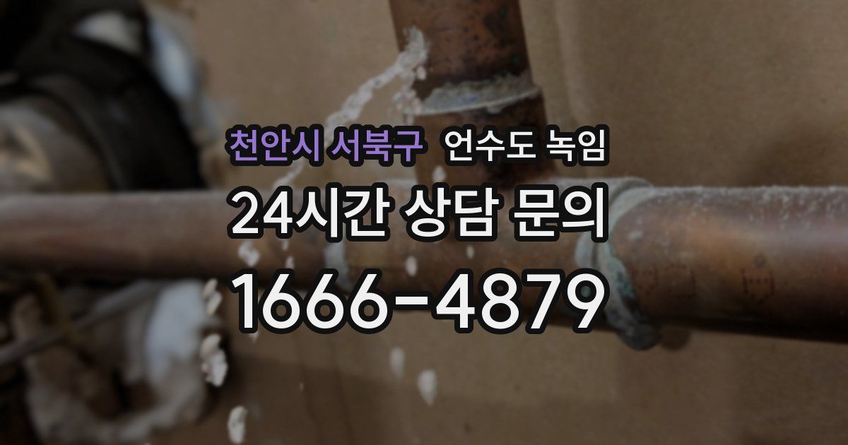 천안시 서북구 언수도 녹임