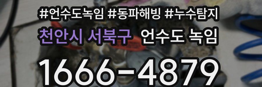 천안시 서북구 언수도 녹임