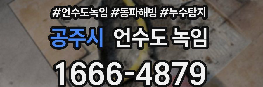 공주시 언수도 녹임